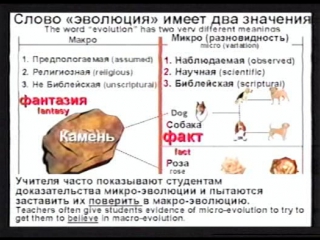 4 video to the article scientific proof of the existence of god